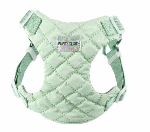 feiling Hundegeschirr für Kleine und Mittlere Hunde Brustgeschirre Haustier Softgeschirr Welpengeschirr (grün, XS: Chest 30-37cm) von feiling