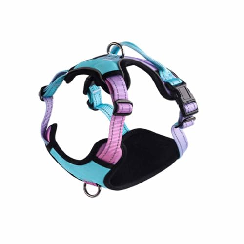 feiling Hundegeschirr mit Handgriffe Reflektierend Brustgeschirre Verstellbare Haustier Geschirr für Mittlere und Große Hunde (Turquoise, 2XL-4) von feiling