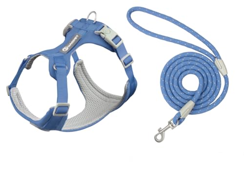 feiling Hundegeschirr und Hundeleine Set Verstellbare Brustgeschirre Haustier Geschirr für Kleine Mittlere und Große Hunde (blau, S) von feiling