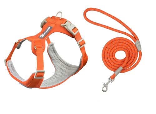 feiling Hundegeschirr und Hundeleine Set Verstellbare Brustgeschirre Haustier Geschirr für Kleine Mittlere und Große Hunde (orange, XS) von feiling