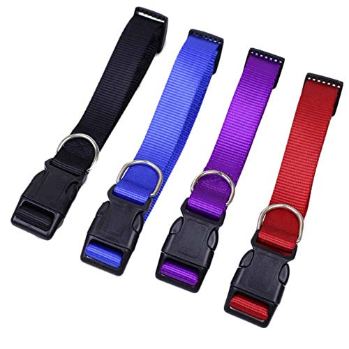feiling Hundehalsband 4er Pack Klickverschluss Halsband Haustier Einstellbare Nylon-Halsband für Kleine, Mittelgroße und Große Hunde (L, 4 Colors) von feiling