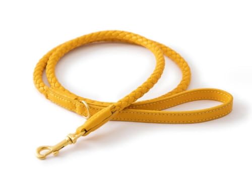 feiling Hundehalsband Leder Einstellbare Hunde Halskette für Kleine Mittelgroße und Große Hunde Geflochten Lederhalsband (gelb Leine, L) von feiling