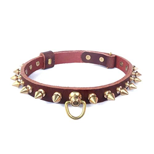 feiling Hundehalsband Leder mit Messing Nieten Einstellbare Katzen Halskette Haustier Lederhalsband für Welpen, Kleine und Mittlere Hunde (Dunkelbraun, L) von feiling