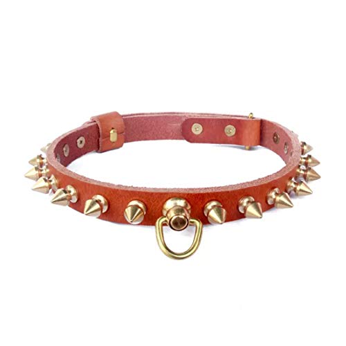 feiling Hundehalsband Leder mit Messing Nieten Einstellbare Katzen Halskette Haustier Lederhalsband für Welpen, Kleine und Mittlere Hunde (braun, S) von feiling