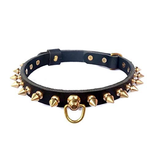 feiling Hundehalsband Leder mit Messing Nieten Einstellbare Katzen Halskette Haustier Lederhalsband für Welpen, Kleine und Mittlere Hunde (schwarz, M) von feiling