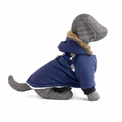 feiling Hundejacke Gepolsterte mit Kapuze Winterjacke Fleecegefüttert Warm Hundemantel für Kleine Mittlere Hunde (blau, S) von feiling