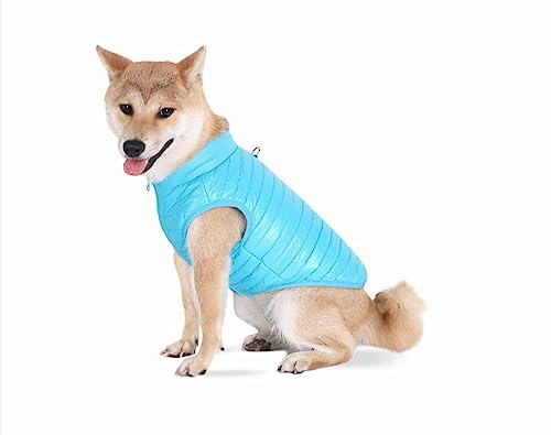 feiling Hundejacke Winter Steppjacke Gepolsterte Hundeweste Reflektierende Katzen Kleidung Bequeme Daunen Hundemantel für Kleine Mittlere Hunde (Turquoise, L) von feiling