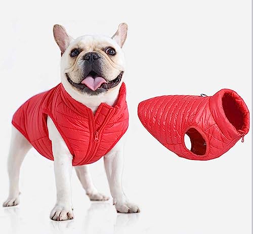 feiling Hundejacke Winter Steppjacke Gepolsterte Hundeweste Reflektierende Katzen Kleidung Bequeme Daunen Hundemantel für Kleine Mittlere Hunde (rot, M) von feiling