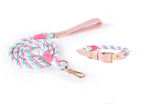 feiling Hundeleine mit Hundehalsband Set für Mittelgroße und Große Hunde Geflochten Hundeführleine Bunt 1.5m Tierleine Haustier Schauleine (S, pink) von feiling