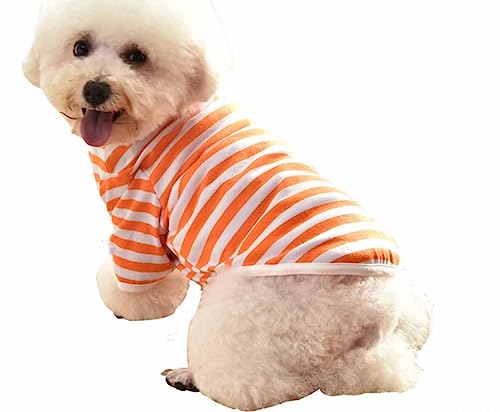 feiling Hundeshirt Hoher Kragen Streifen T-Shirt Haustiere Tops Atmungsaktiv Hundmantel Welpen Kleine Hunde Bekleidung (orange, 2XL) von feiling