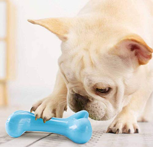 feiling Hundespielzeug für Kleine Hunde Welpen Zahnreinigung Kauspielzeug Haustier Interaktives Quietschspielzeug Mittlerer Hund (Blau) von feiling