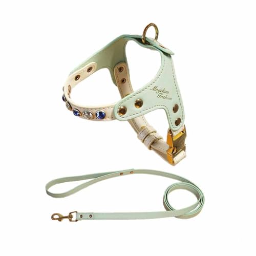 feiling Kleine Hunde Ledergeschirr PU Leder Hundegeschirr Katzengeschirr mit 1.2M Hundeleine Welpen Brustgeschirr Verstellbar Geschirr (grün, M) von feiling