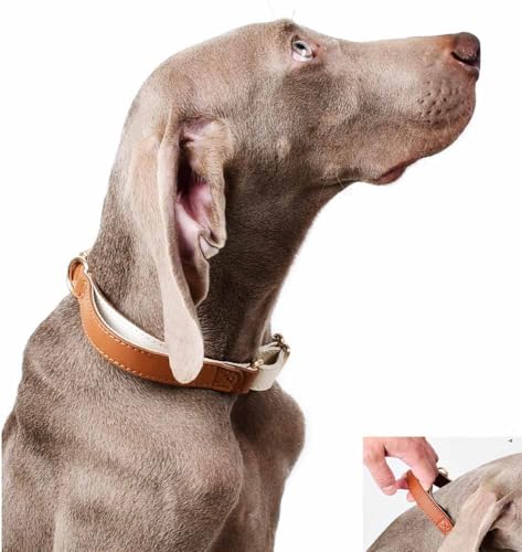 feiling Leder Hundehalsband mit Handle Klickverschluss Lederhalsband Verstellbare Hundehalskette für Mittelgroße und Große Hunde (braun, S) von feiling