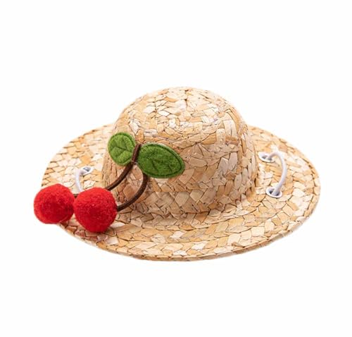 feiling Strohhut für Haustiere Sonnenhut für Katzen und Kleine Hunde Welpen Sonnenschutz Strand Mütze Urlaub Zubehör Haustier Party-Kostüm (C, L: Diameter 15cm) von feiling