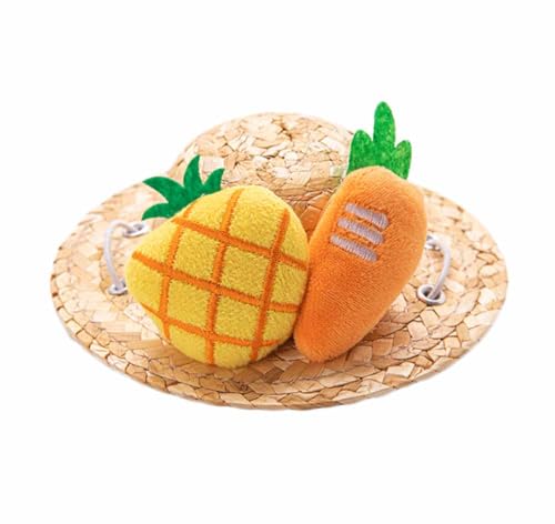 feiling Strohhut für Haustiere Sonnenhut für Katzen und Kleine Hunde Welpen Sonnenschutz Strand Mütze Urlaub Zubehör Haustier Party-Kostüm (F, M: Diameter 13cm) von feiling