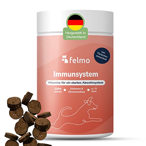 FELMO Immunsystem-Snacks für Hunde - ca. 70 Leckerlis zur Stärkung der natürlichen Abwehrkräfte mit verschiedenen Kräutern und Probiotika - Getreide- und zuckerfrei von felmo