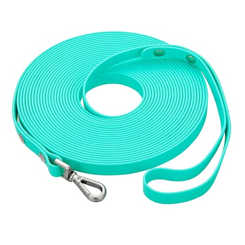 Wasserdichte lange Hundetrainingsleine, 15,2 m, für den Außenbereich, PVC, ideal für große, mittelgroße und kleine Hunde, Trainingsleine, Strand, Hof, Spielen, Camping (mintgrün) von fengco