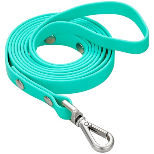 Wasserdichte lange Hundetrainingsleine, 3 m, für den Außenbereich, PVC, ideal für große, mittelgroße und kleine Hunde, Trainingsleine, Strand, Hof, Spielen, Camping (mintgrün) von fengco