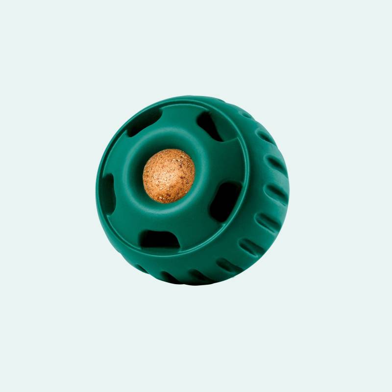 Pupsicle (grün, Größe L) von fidelis.dog