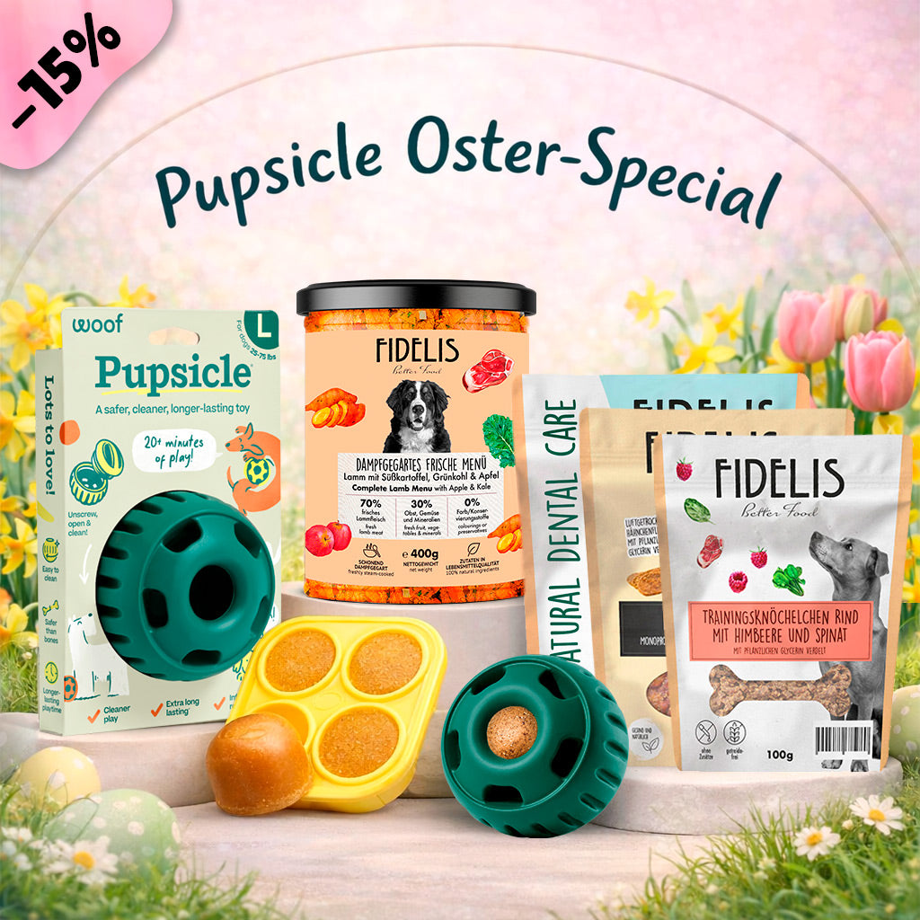 Pupsicle (grün, L) + Oster Special (6 Gläser, Treat Tray, Snacks) von fidelis.dog