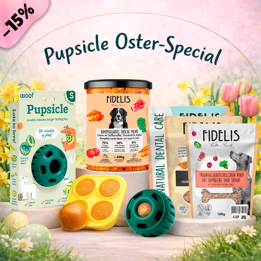 Pupsicle (grün, S) + Oster Special (6 Gläser, Treat Tray, Snacks) von fidelis.dog
