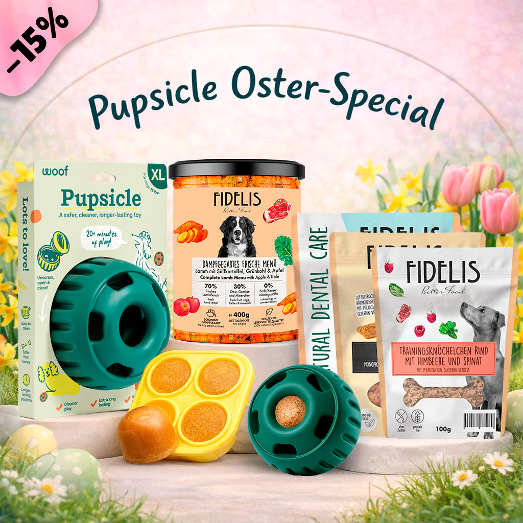 Pupsicle (grün, XL) + Oster Special (6 Gläser, Treat Tray, Snacks) von fidelis.dog
