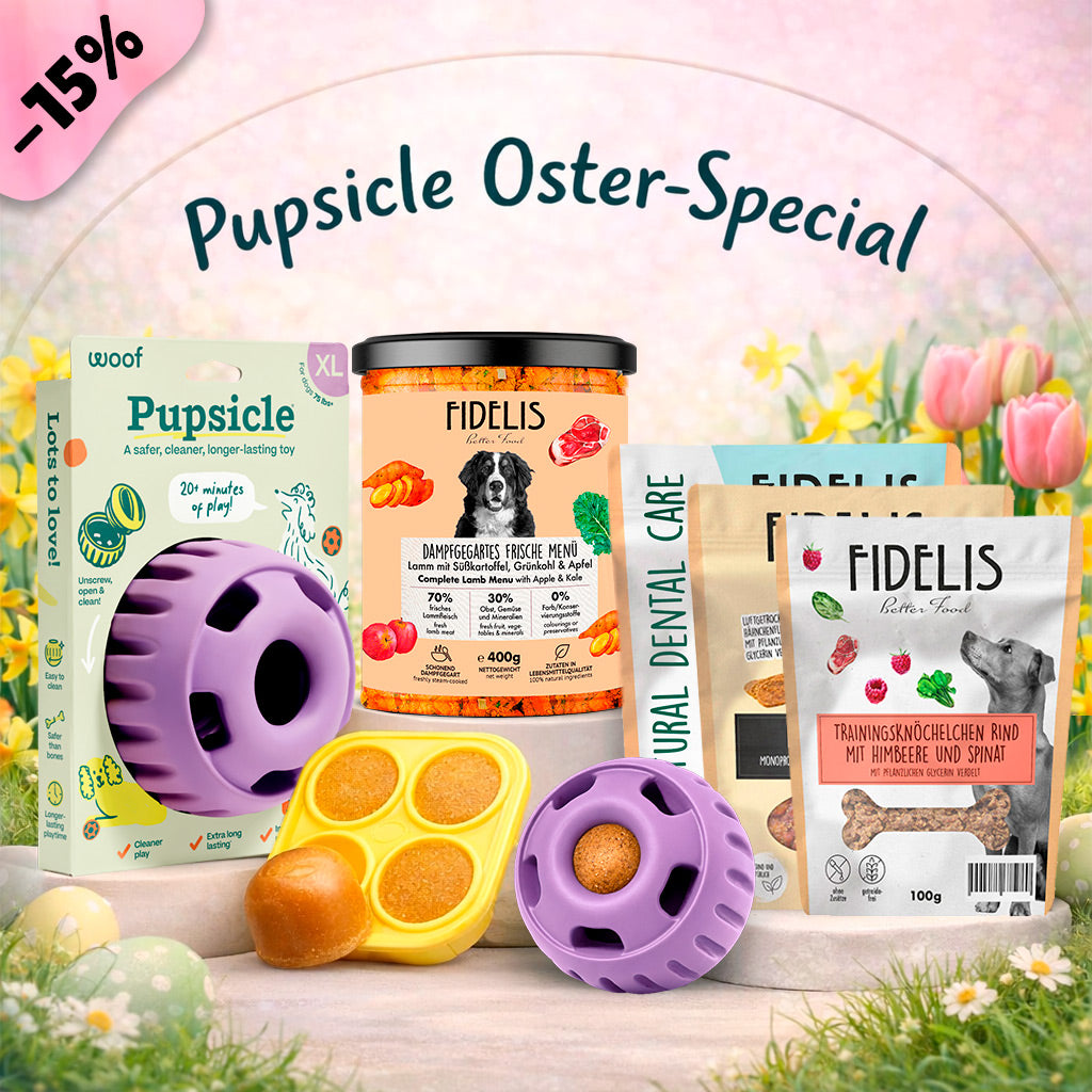 Pupsicle (lavendel, XL) + Oster Special (6 Gläser, Treat Tray, Snacks) von fidelis.dog
