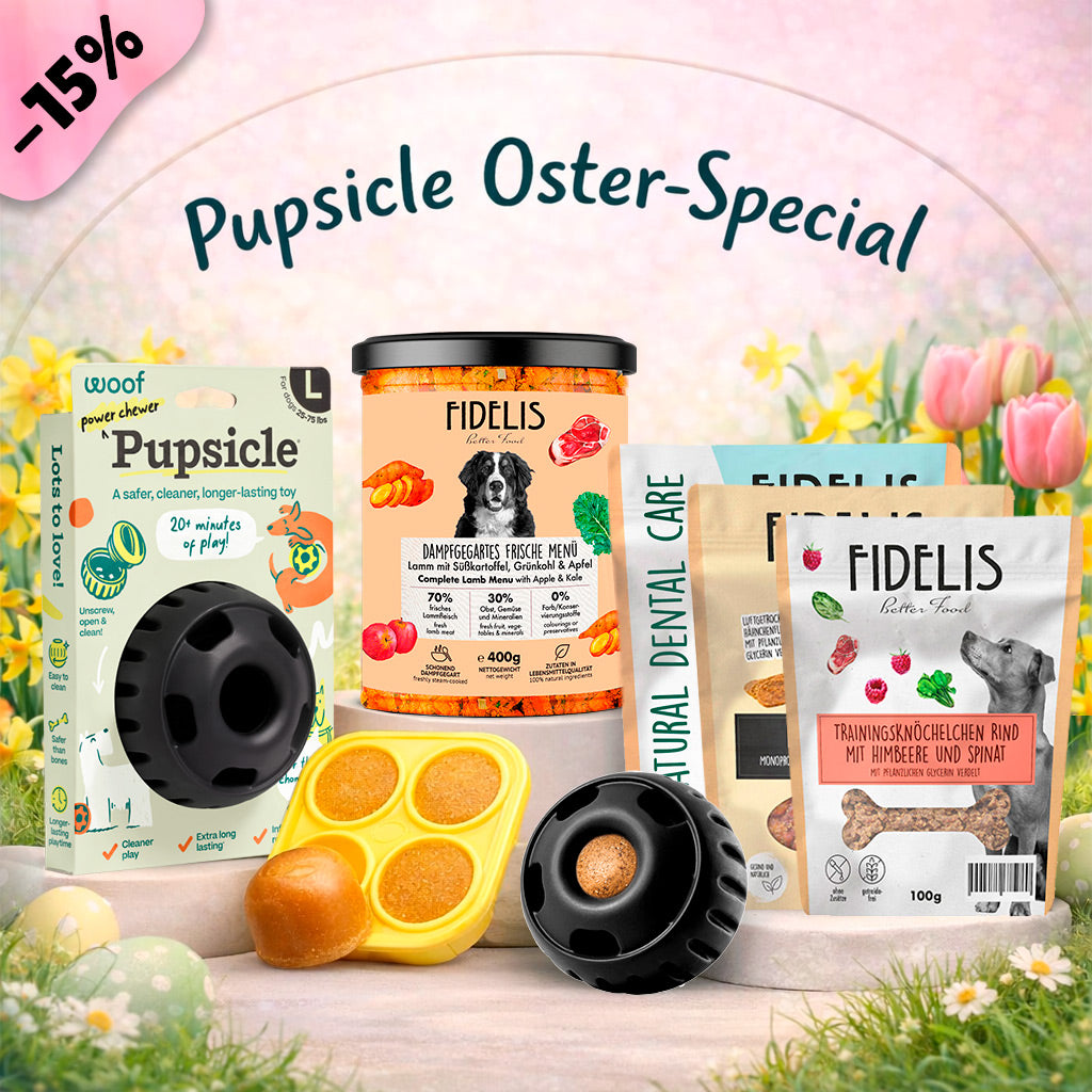 Pupsicle (schwarz, L) + Oster Special (6 Gläser, Treat Tray, Snacks) von fidelis.dog