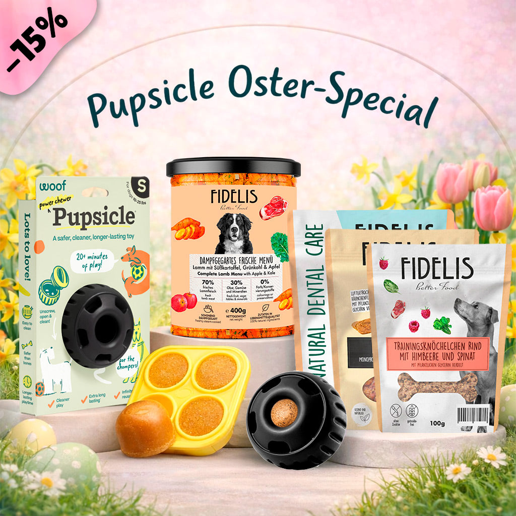Pupsicle (schwarz, S) + Oster Special (6 Gläser, Treat Tray, Snacks) von fidelis.dog
