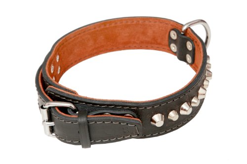 Hundehalsband, Leder, Farbe: Schwarz, Kegelnieten, 50cm x 40mm, Top Qualität von fifffi