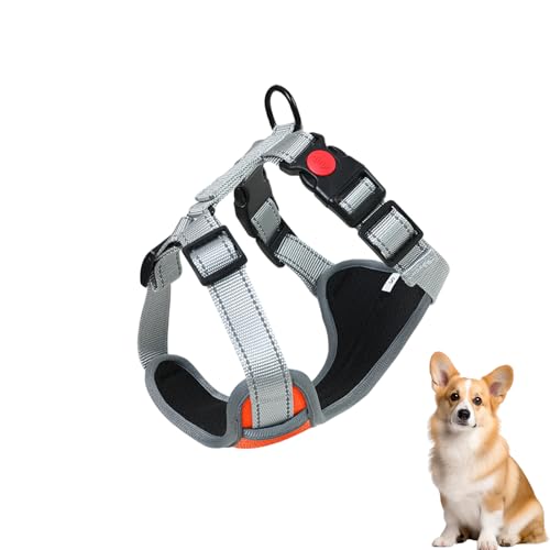 fiira Hundegeschirr für kleine Hunde, kein Ziehen, weiche Hundeweste für kleine Hunde, mit 2 Gurtschnallen, reflektierend, verstellbar, weiche Schwammpolsterung, Hundewestengeschirr fiira Hundegeschirr für kleine Hunde, kein Ziehen, weiche Hundeweste für kleine Hunde, mit 2 Gurtschnallen, reflektierend, verstellbar, weiche Schwammpolsterung, Hundewestengeschirr von fiira