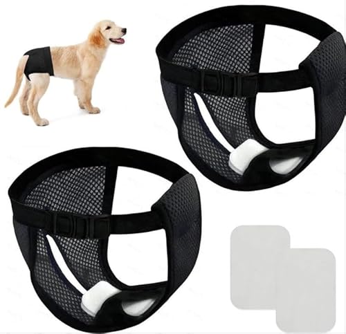 filheraze 2er Pack Hundewindeln Wiederverwendbare Läufigkeitshose für Hündinnen Hundewindeln, Verstellbar und Anti-Belästigung, für den Innen- und Außenbereich, Schwarz, S+10-Wattepads filheraze 2er Pack Hundewindeln Wiederverwendbare Läufigkeitshose für Hündinnen Hundewindeln, Verstellbar und Anti-Belästigung, für den Innen- und Außenbereich, Schwarz, S+10-Wattepads von filheraze