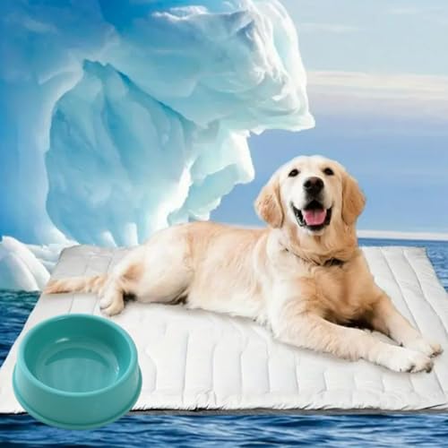 2025 Pfotenchill kühlmatte hund, Pfotenchill - Die Innovative Kühlmatte Für Hunde, Aus Kühlgewebe Wendbar, Maschinenwaschbar, selbstkühlend kühlbett Ideal für zu Hause, Reisen (Grey,XL(150*101cm)) von fjaldjfu
