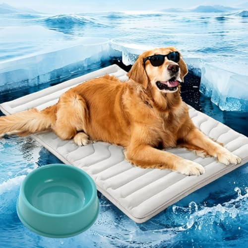 Pfotenchill - Die Innovative Kühlmatte Für Hunde, 2025 Pfotenchill kühlmatte hund, Aus Kühlgewebe Wendbar, Maschinenwaschbar, selbstkühlend kühlbett Ideal für zu Hause, Reisen (L(122 x 71 cm)) von fjaldjfu