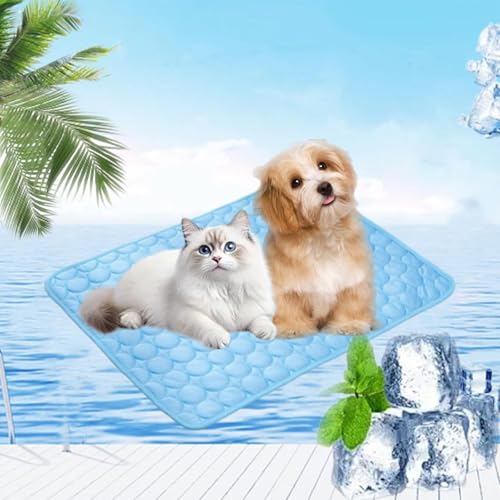 Pfotenfrost Matte für Katzen Hund, kühlmatte hund, kühlmatte für hunde, 3-Schicht-System Selbstkühlende Kühlmatte Haustier Waschbar für Zuhause, Auto, Garten Oder Unterwegs (Blau,S(50*40cm)) von fjaldjfu