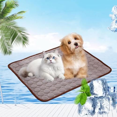 Pfotenfrost Matte für Katzen Hund, kühlmatte hund, kühlmatte für hunde, 3-Schicht-System Selbstkühlende Kühlmatte Haustier Waschbar für Zuhause, Auto, Garten Oder Unterwegs (Braun,XXL(150*100cm)) Pfotenfrost Matte für Katzen Hund, kühlmatte hund, kühlmatte für hunde, 3-Schicht-System Selbstkühlende Kühlmatte Haustier Waschbar für Zuhause, Auto, Garten Oder Unterwegs (Braun,XXL(150*100cm)) von fjaldjfu