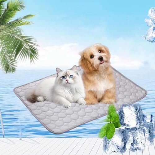 Pfotenfrost Matte für Katzen Hund, kühlmatte hund, kühlmatte für hunde, 3-Schicht-System Selbstkühlende Kühlmatte Haustier Waschbar für Zuhause, Auto, Garten Oder Unterwegs (Grau,XXL(150*100cm)) Pfotenfrost Matte für Katzen Hund, kühlmatte hund, kühlmatte für hunde, 3-Schicht-System Selbstkühlende Kühlmatte Haustier Waschbar für Zuhause, Auto, Garten Oder Unterwegs (Grau,XXL(150*100cm)) von fjaldjfu