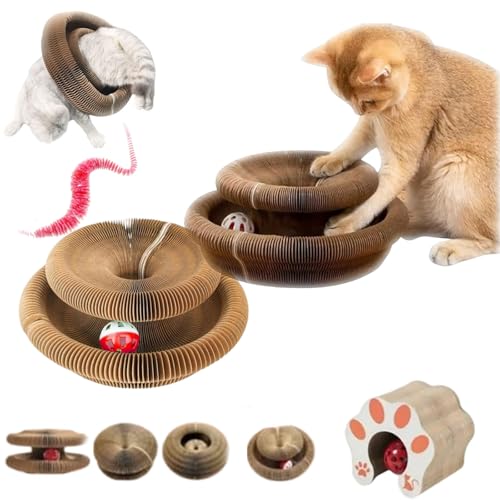 Pfotenwert Katzenloop, Katzenwirbel Katzenliebling, Magische Orgel Katzenkratzbrett, Kitten Kratzbrett für Junge Katze, Interaktive Kratzunterlage mit Ball, Katzenspielzeug Intelligenz (2-A) von fjaldjfu