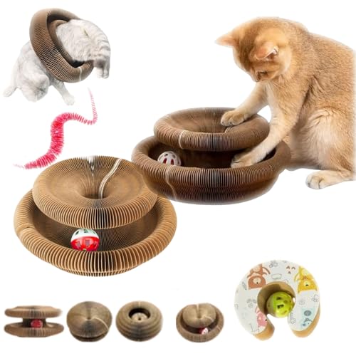 Pfotenwert Katzenloop, Katzenwirbel Katzenliebling, Magische Orgel Katzenkratzbrett, Kitten Kratzbrett für Junge Katze, Interaktive Kratzunterlage mit Ball, Katzenspielzeug Intelligenz (2-C) von fjaldjfu