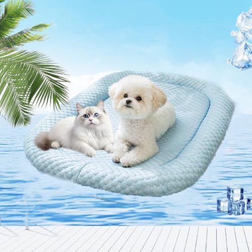 fjaldjfu KittyCool - kühlmatte Katzenbett mit Eisseide, Kühlbett für Hunde, Kühlendes Sofabett Hund, Haustier Kühlkissen Der ultimative kühlkomfort Für Haustiere Katze Hund (Blau,M(55 x 40 cm)) von fjaldjfu