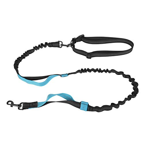 flexman Bungee Hundeleine, Strapazierfähiges, Stoßdämpfendes, Elastisches Hundeleinenseil mit 2 Gepolsterten Griffen, Trainingsleine Ohne Zug mit Reflektierendem Streifen für Große Hunde (Blau) von flexman