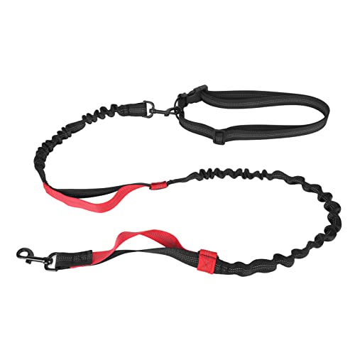 flexman Bungee Hundeleine, Strapazierfähiges, Stoßdämpfendes, Elastisches Hundeleinenseil mit 2 Gepolsterten Griffen, Trainingsleine Ohne Zug mit Reflektierendem Streifen für Große Hunde (Rot) von flexman