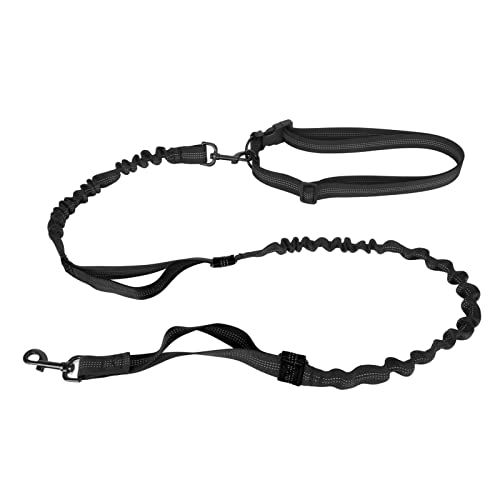 flexman Bungee Hundeleine, Strapazierfähiges, Stoßdämpfendes, Elastisches Hundeleinenseil mit 2 Gepolsterten Griffen, Trainingsleine Ohne Zug mit Reflektierendem Streifen für Große Hunde (Schwarz) von flexman