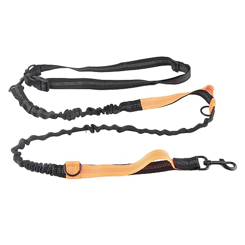 flexman Bungee Hundeleine, Strapazierfähiges, Stoßdämpfendes, Elastisches Hundeleinenseil mit 2 Gepolsterten Griffen, Trainingsleine Ohne Zug mit Reflektierendem Streifen für Große Hunde (Orange) von flexman