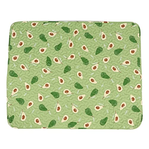 flexman Haustier Schlafunterlage, Weiche, Bequeme Materialien, Sichere Tragbare Bettmatte, Verhindert Verrutschen, Super Saugfähige Baumwollmatte für Schlafende Haustiere, Leicht zu Reinigen (Avocado) flexman Haustier Schlafunterlage, Weiche, Bequeme Materialien, Sichere Tragbare Bettmatte, Verhindert Verrutschen, Super Saugfähige Baumwollmatte für Schlafende Haustiere, Leicht zu Reinigen (Avocado) von flexman