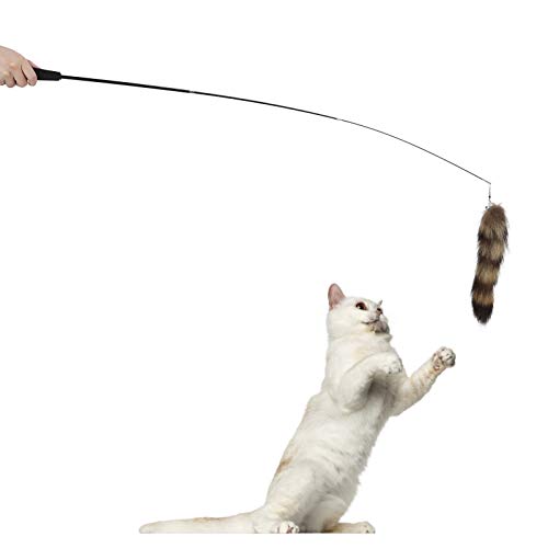 flexman Katzenstab, 38 cm bis 95 cm, Katzenstab, Spielzeugstab, Katzenspielzeug, Einziehbares Interaktives Katzenspielzeug, für Den Innenbereich, Katzenstab, Lustiger Stab flexman Katzenstab, 38 cm bis 95 cm, Katzenstab, Spielzeugstab, Katzenspielzeug, Einziehbares Interaktives Katzenspielzeug, für Den Innenbereich, Katzenstab, Lustiger Stab von flexman