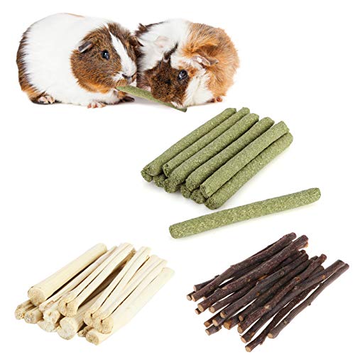 floatofly 300g Hamster Natural Snack Kit Apfelstäbchen Timothy Hay Süßer Bambus Kauen Zähne Pflege Holzspielzeug für Gerbil Bunny Chinchilla Meerschweinchen Haustiere Futter floatofly 300g Hamster Natural Snack Kit Apfelstäbchen Timothy Hay Süßer Bambus Kauen Zähne Pflege Holzspielzeug für Gerbil Bunny Chinchilla Meerschweinchen Haustiere Futter von floatofly
