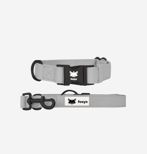 CityFox Hundehalsband und passende Leine, elegant und verstellbar, leicht zu reinigen und robust, Grau, Größe S, 30-42 cm, Set Foxys CityFox Hundehalsband und passende Leine, elegant und verstellbar, leicht zu reinigen und robust, Grau, Größe S, 30-42 cm, Set Foxys von foxys