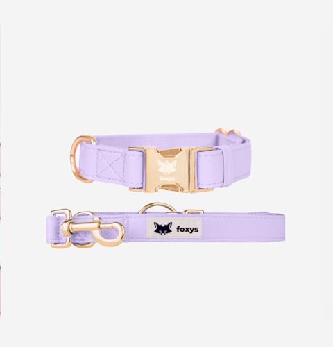 CityFox Hundehalsband und passende Leine, elegant und verstellbar, leicht zu reinigen und robust, violett/lila, Größe S, 30-42 cm, Set Foxys CityFox Hundehalsband und passende Leine, elegant und verstellbar, leicht zu reinigen und robust, violett/lila, Größe S, 30-42 cm, Set Foxys von foxys