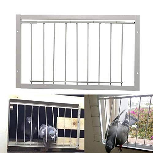 26 cm (hoch) 50 cm (lang) T-Falle für Tauben, Vögel, Haustür, Taubenhaus, Tür, Taubenstall zum Verkauf, Vogelkäfige, Taubenkäfiglieferant von freen-p